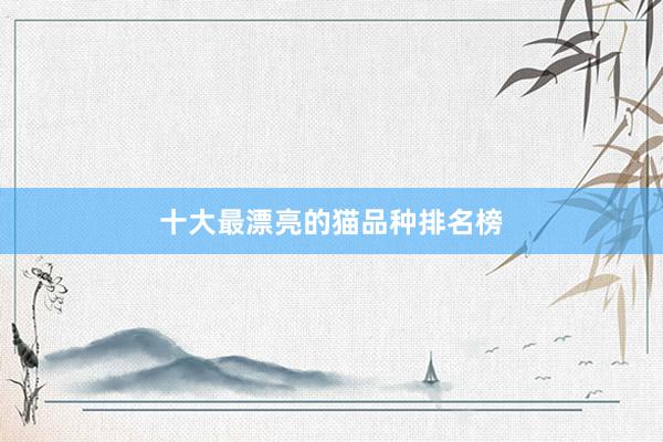 十大最漂亮的猫品种排名榜
